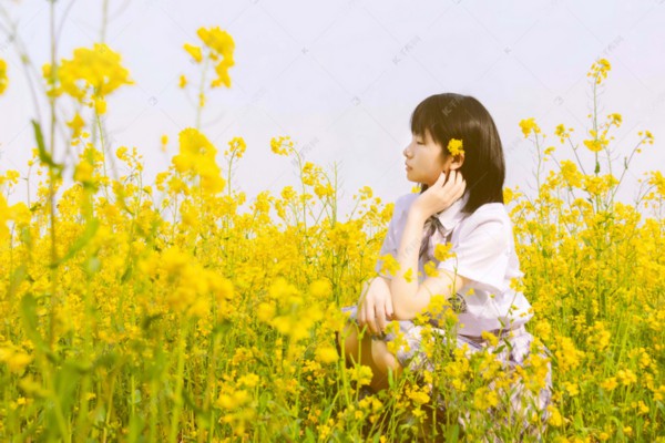 武汉茶香四溢,养生之道尽在其中 武汉茶香四溢,养生之道尽在其中